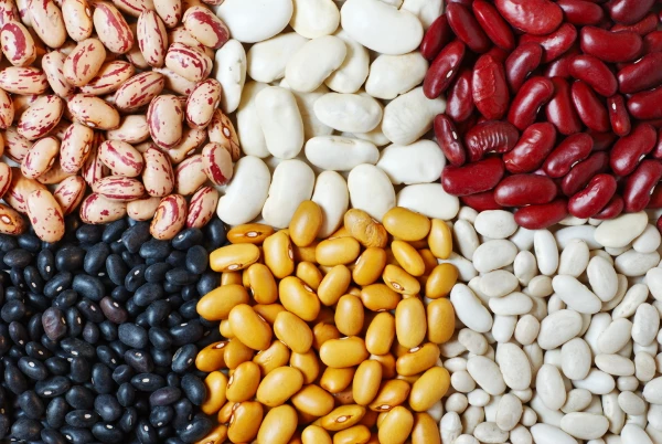 India's Import of Dry Beans Sees a Slight Increase to $834M in 2023